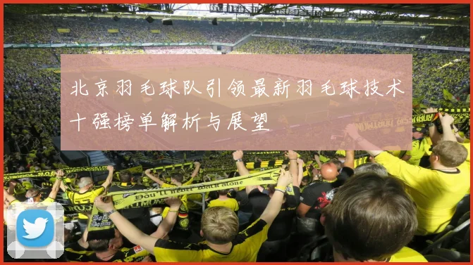 北京羽毛球队引领最新羽毛球技术十强榜单解析与展望
