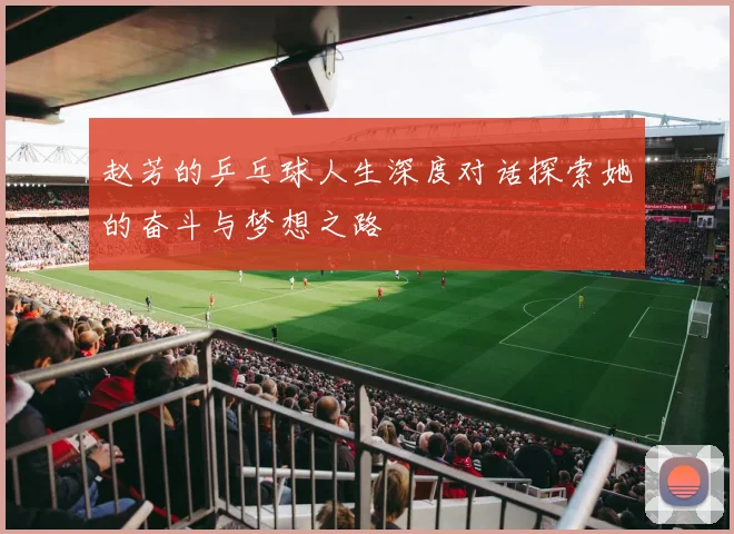 赵芳的乒乓球人生深度对话探索她的奋斗与梦想之路